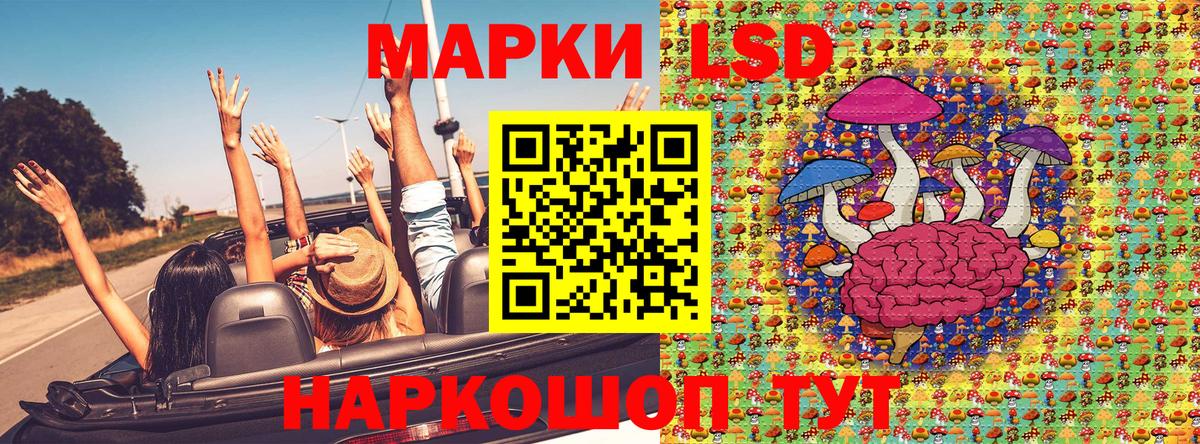 Наркотические марки 1500мкг  Наркотические марки 1500мкг  Вход с VPN  Марки N-bome  Похвистнево 