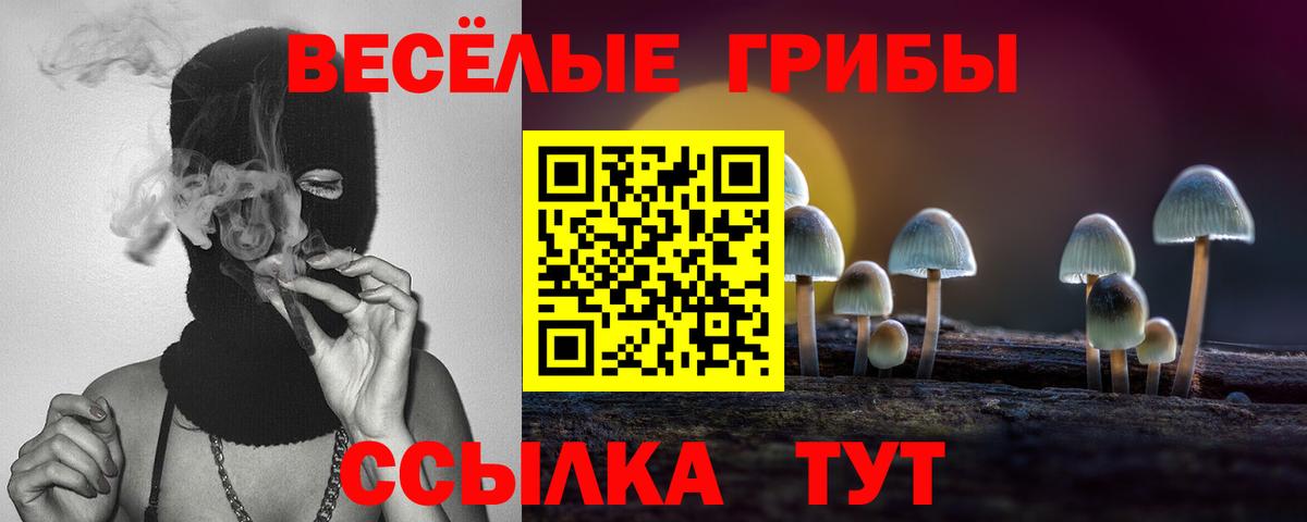Псилоцибиновые грибы Cubensis  Псилоцибиновые грибы GOLDEN TEACHER  Похвистнево  Вход с VPN 