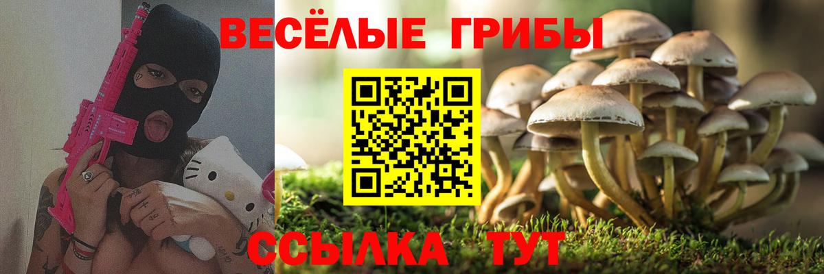 Галлюциногенные грибы ЛСД Похвистнево